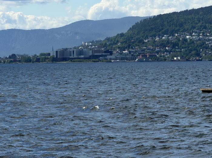 Avslutter prosjektet Ren Drammensfjord - friskmelding av fjorden