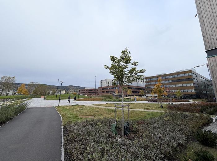 Fjordparken utenfor sykehuset åpnet - oktober 2026